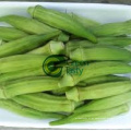 2015 Green Oftkra Fresh Vegetable